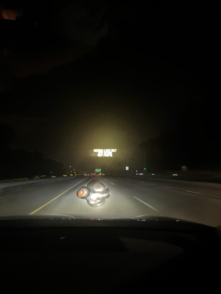 (oc) Rolycoly spotted on freeway