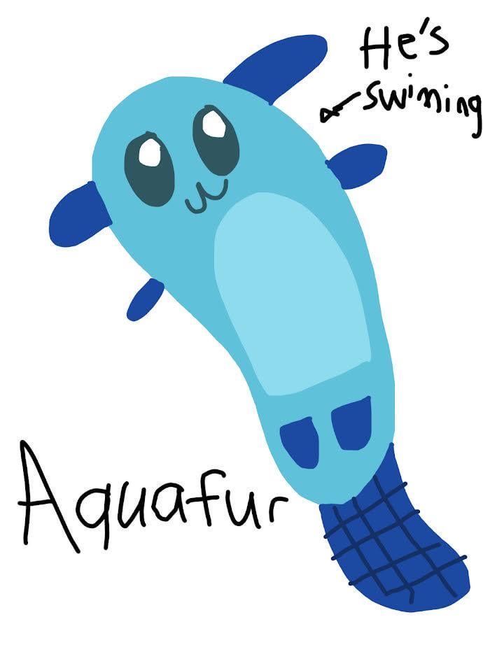 Sorry for the bad drawing, I was looking through my old art and found this. I made it when I was probably 12, and my dad had told me what an Aquifer was and I thought it sounded like a pokemon. Idk what animal it was supposed to be, but it looks like a mix between an axolotl and a platypus.