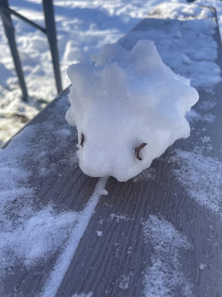 Attempted Snow Snom