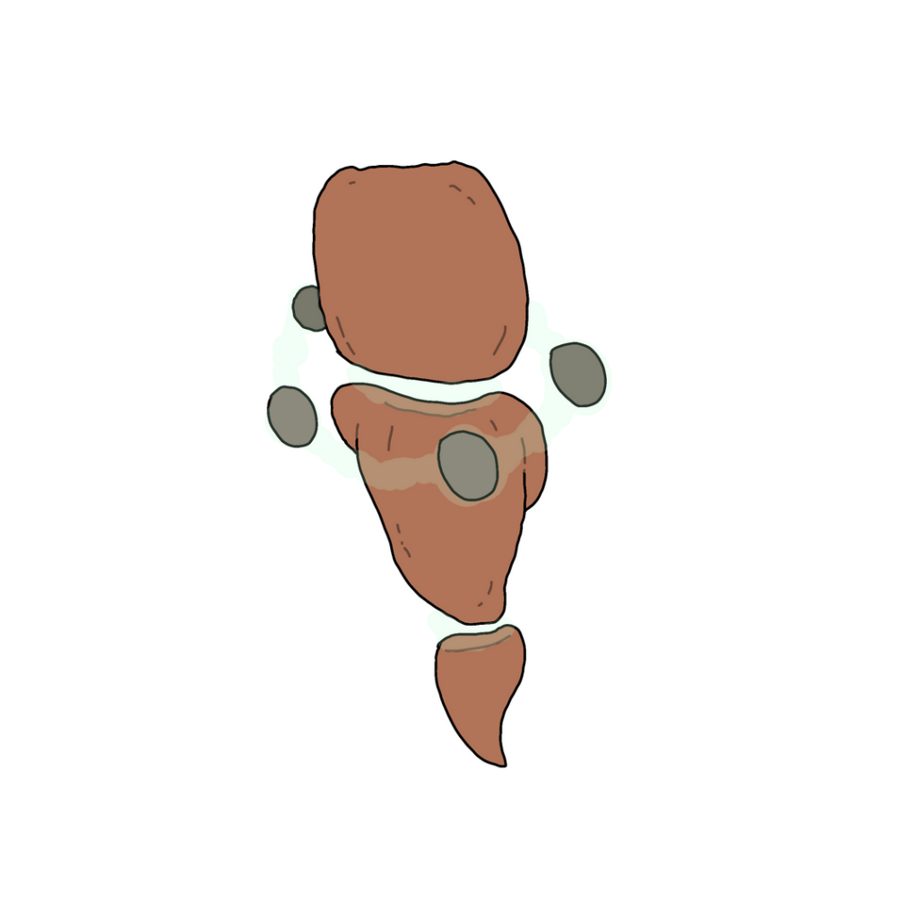 The mountains of the Tamago Region have quite a variety of species. This one is the most common- Meet Pebblem, Rochakra and Buddoldha!