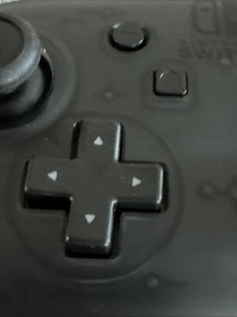 Fake Switch Pro Controller bought on eBay 2024