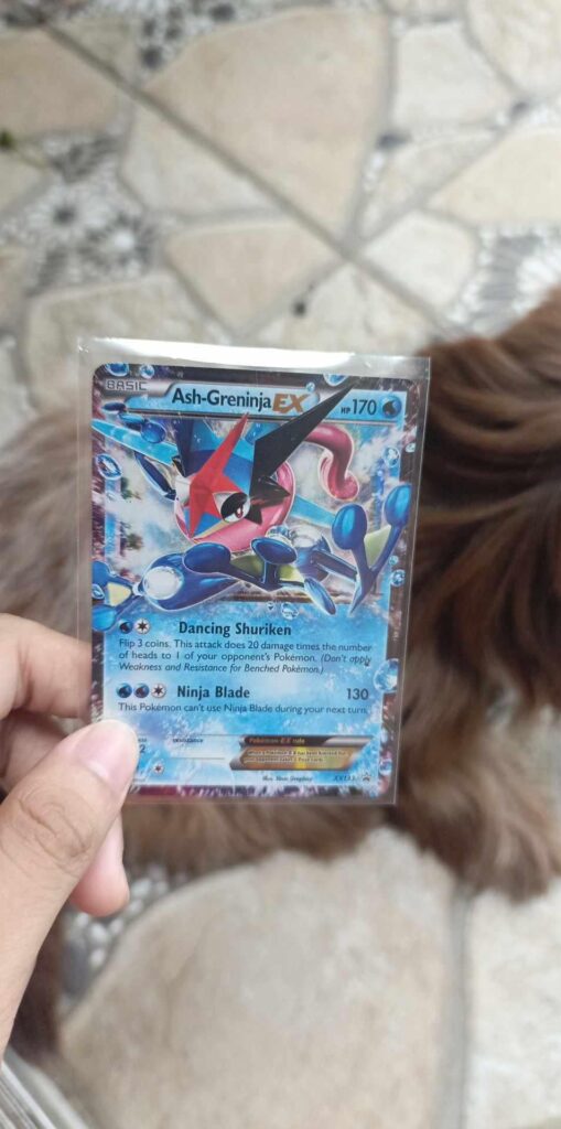Thank you to those who helped me find Ash-Greninja EX.