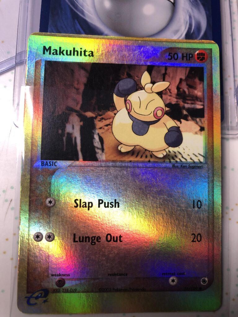 What is this holo error called?