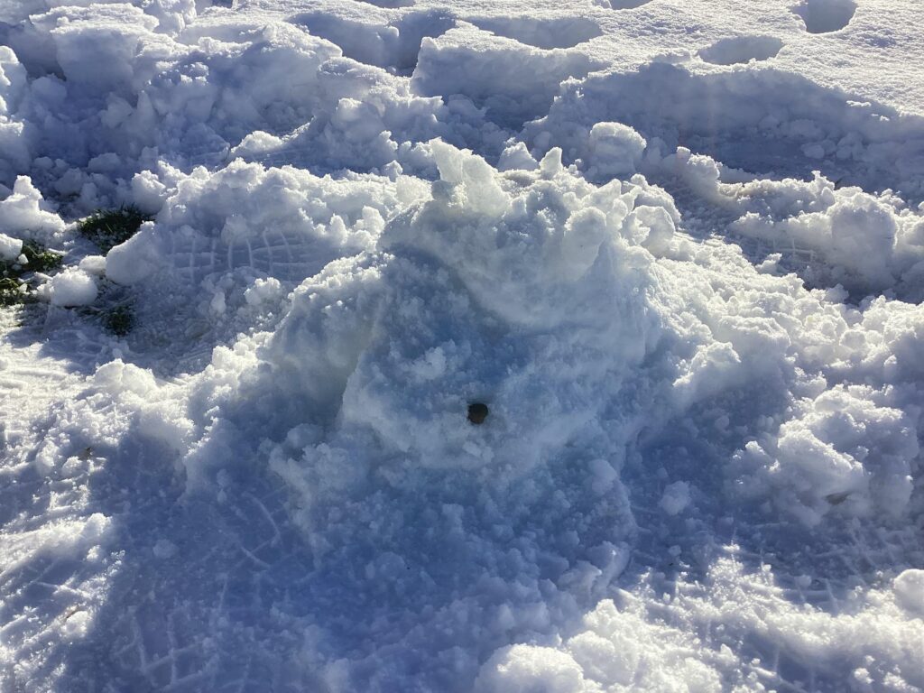(Oc) I built a snom out of snow
