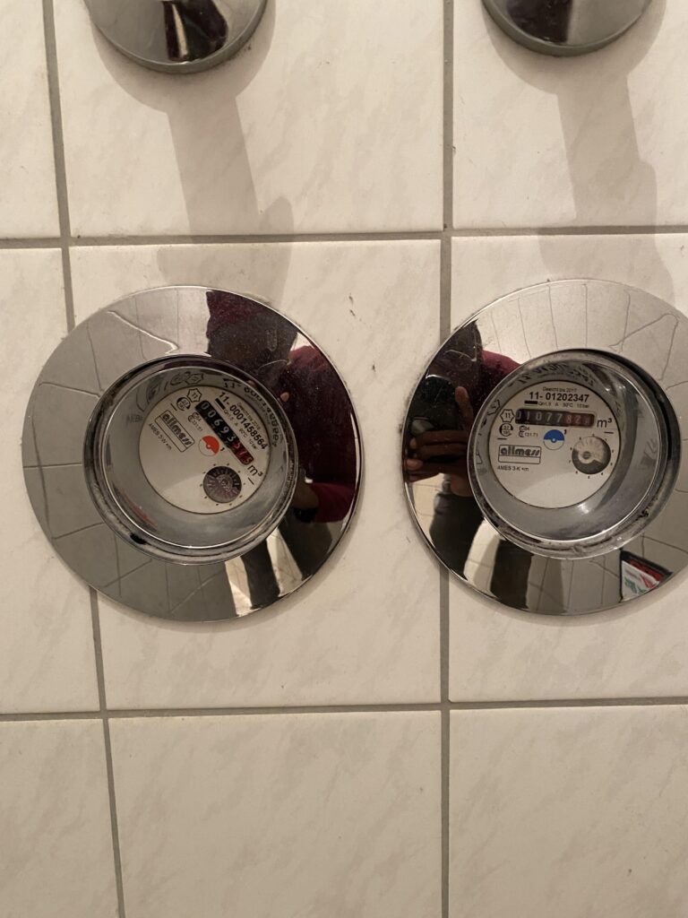My friend’s water meter had pokeballs for hot and cold water ñ