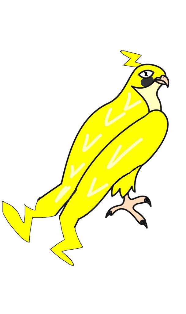 Hayabolt (lightning falcon)