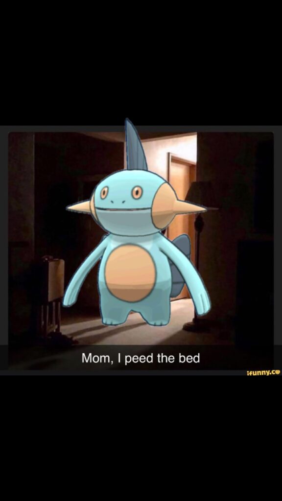 Will never forgive gamefreak for what they did too my boy
