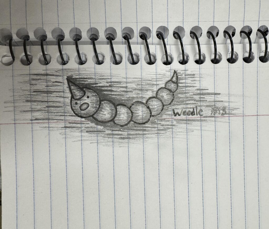 I drew Weedle