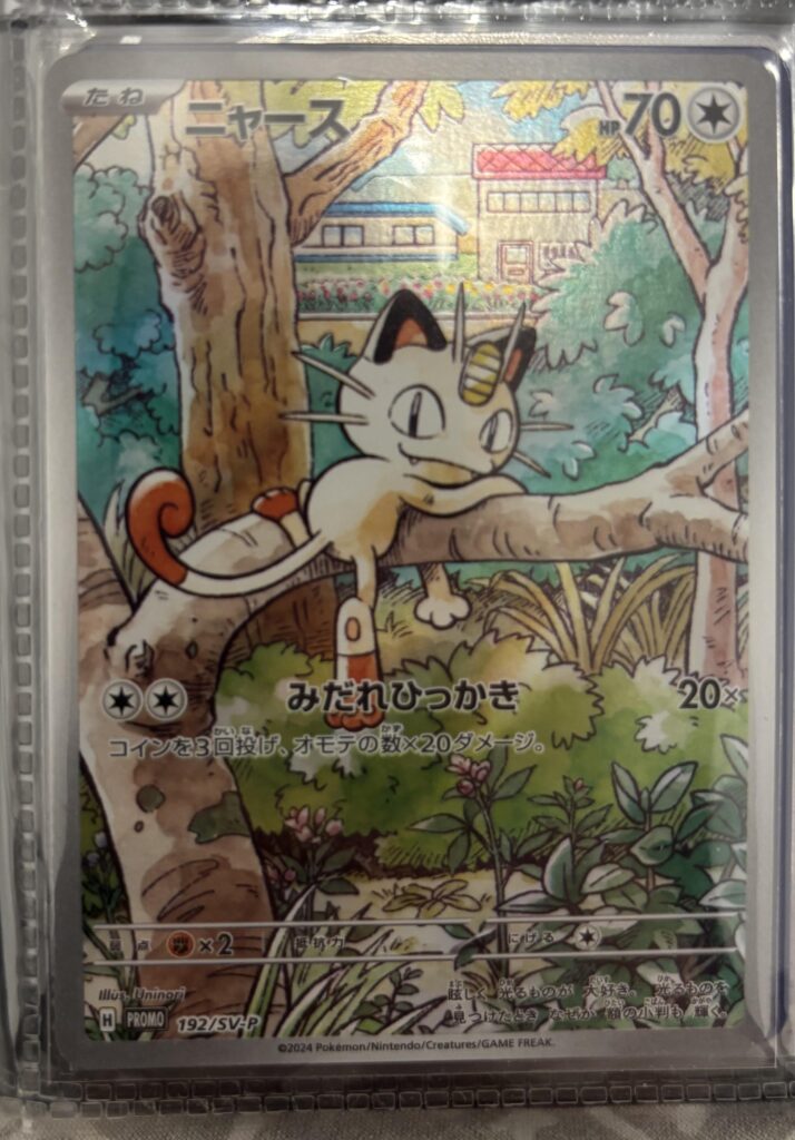 Where is this card from?