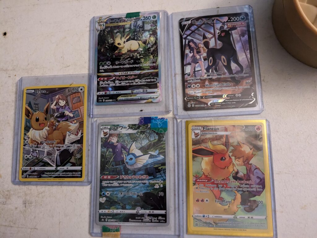 My New Eevee Collection!!