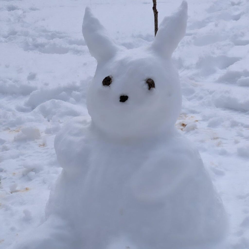 Pikachu snowman [OC]