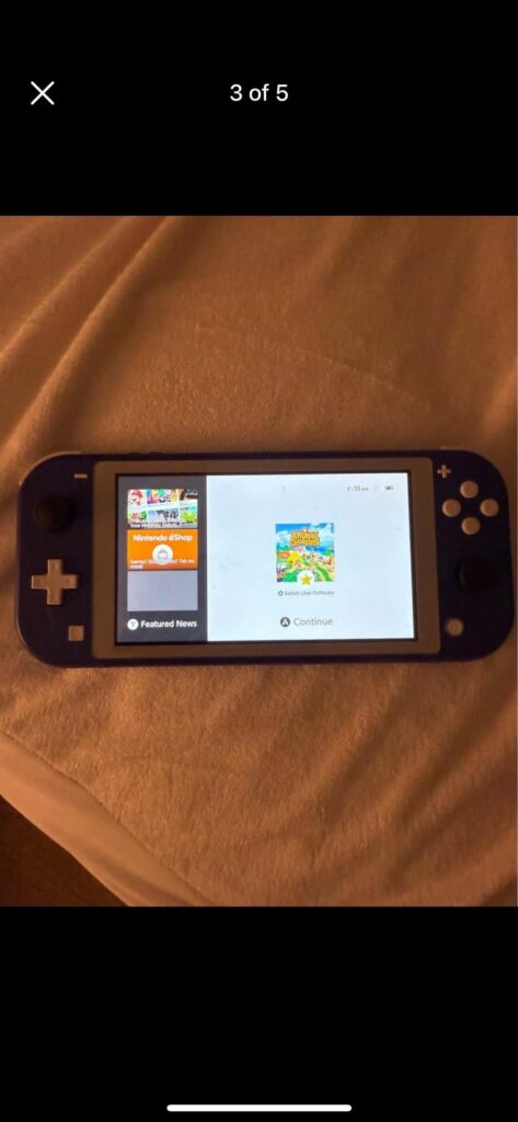 Do they make fake switches?