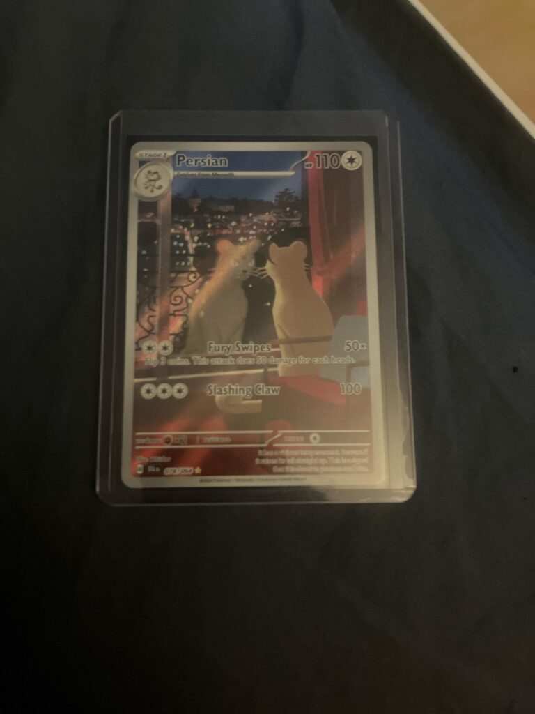 Is this Persian card being protected enough? I want to know just so i am aware if i am doing anything wrong.
