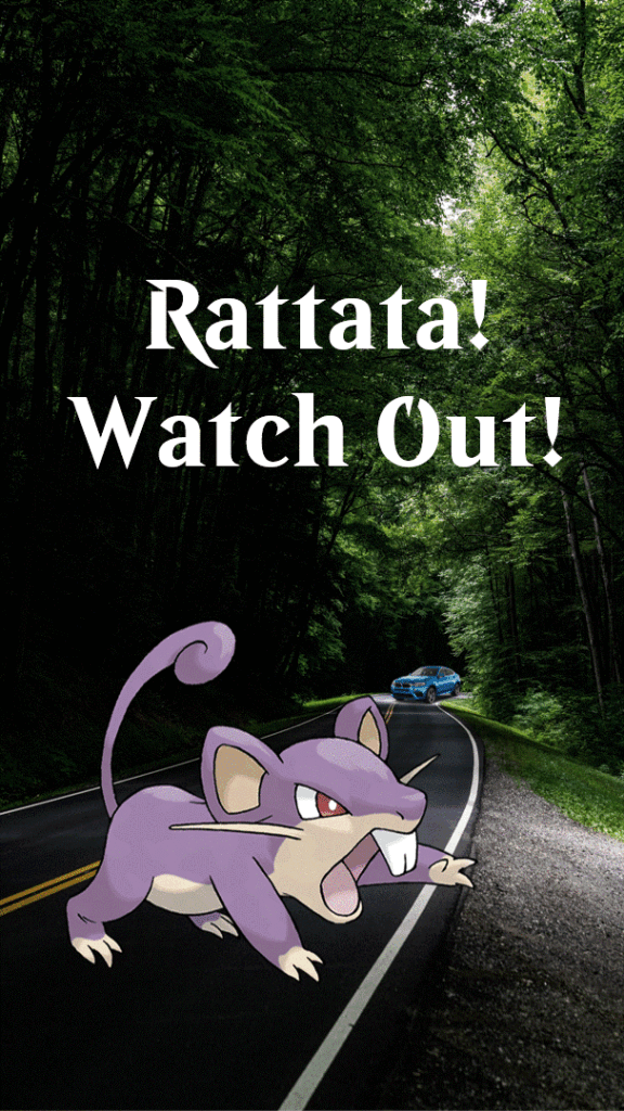 Made an animation for my Rattata Fakemon