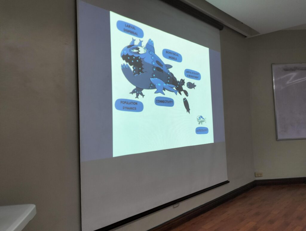 Throwback to this slide when I included Wishiwashi as a representation in my discussion report last year for my Marine Ecology class--the class got hooked into discussing this one slide for a good 20 minutes 🐟