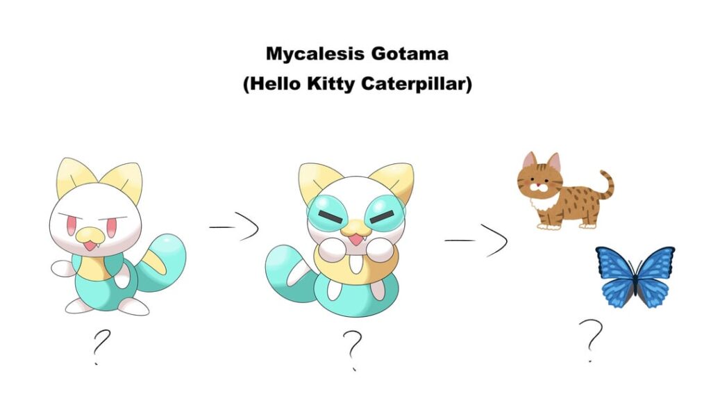 What would you name these guys?