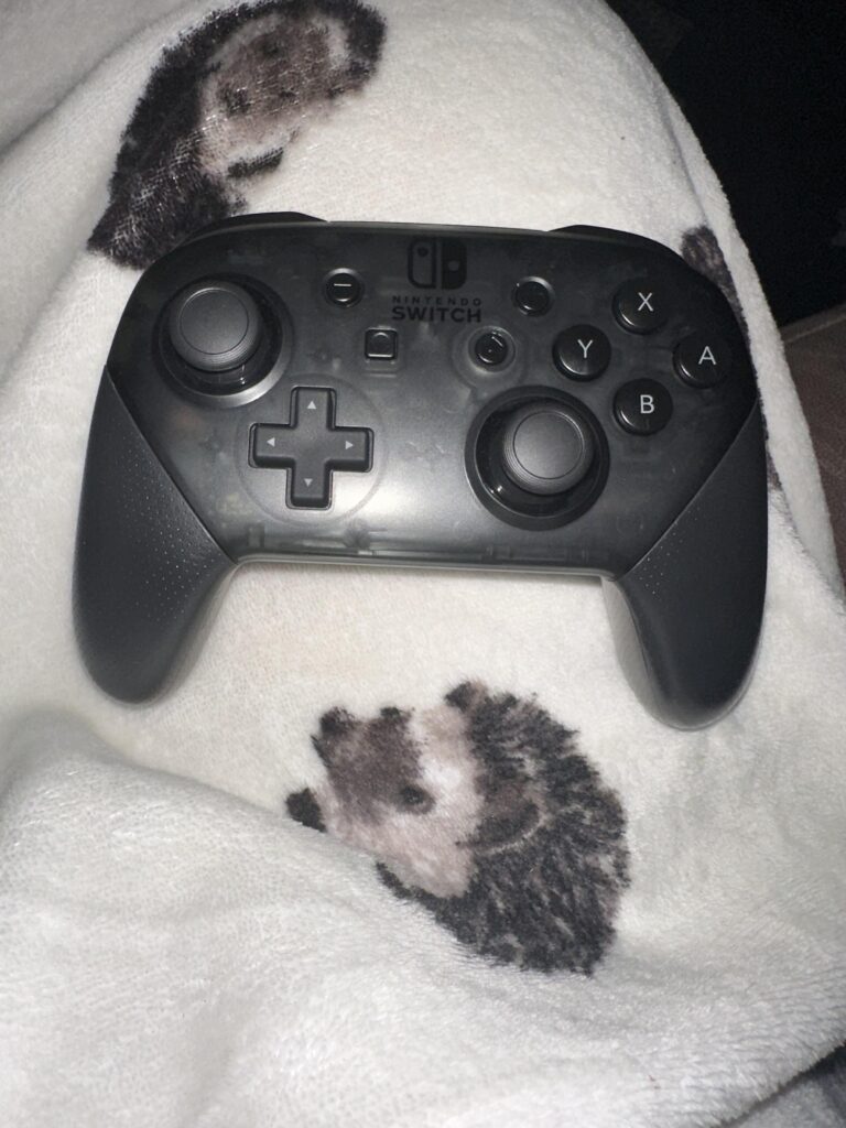 Got gifted a pro controller for Christmas! 😁