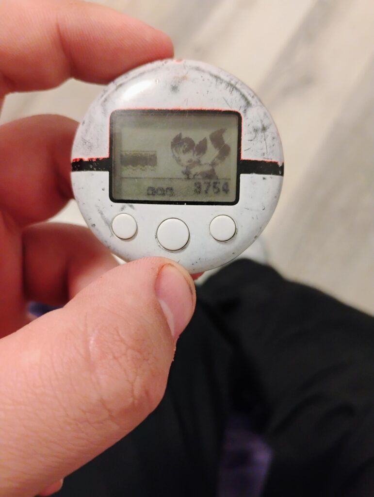 This is what my pokéwalker looks like after using it every day since 2010