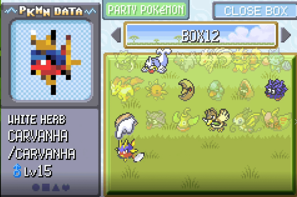 Weird Glitch happened in Emerald