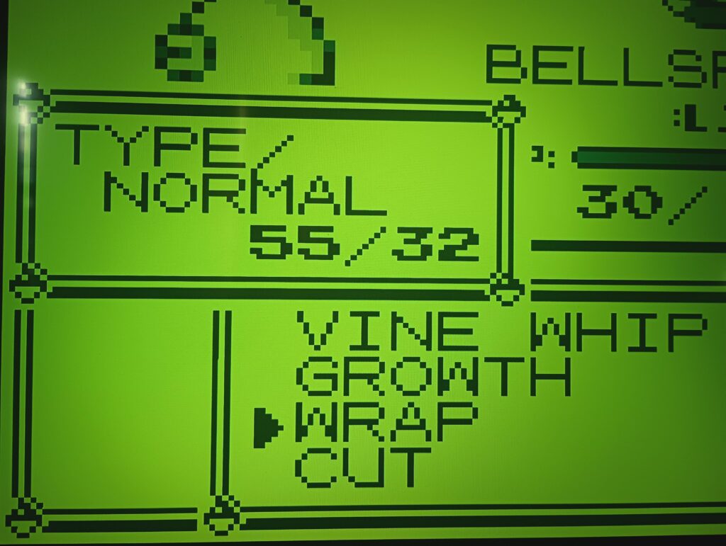 What glitch is this? Just a normal game of Pokemon Red.