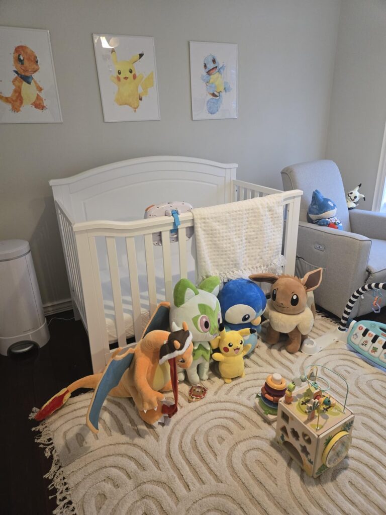My 8 month old sons new bedroom!