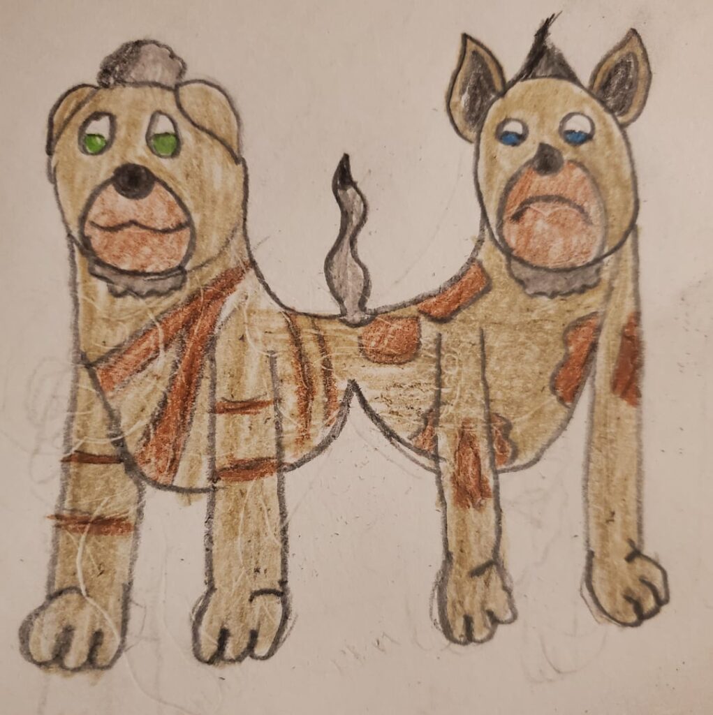 Fiduo and trinine