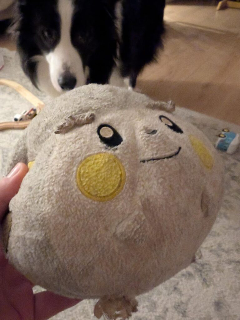 So. I heard you like well loved Pokémon plushies