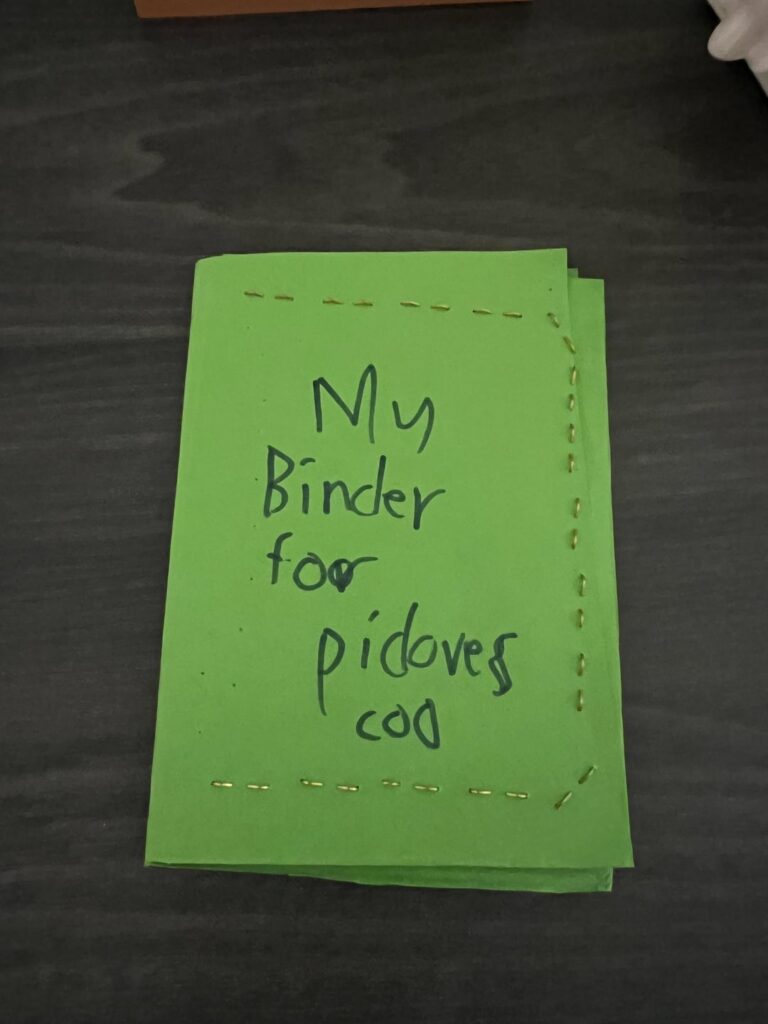 My little brother (8) made his own binder for his favorite pokemon!
