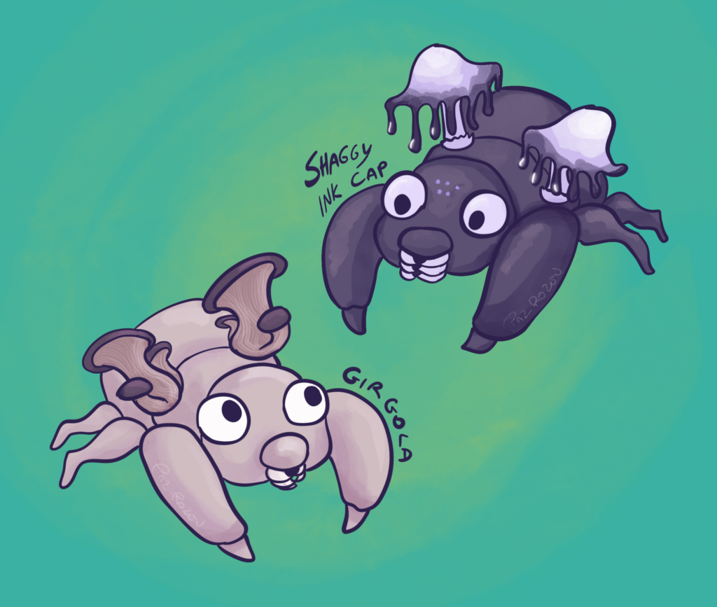 Paras Variation Shaggy ink cap and girgola 🍄‍🟫 [OC]