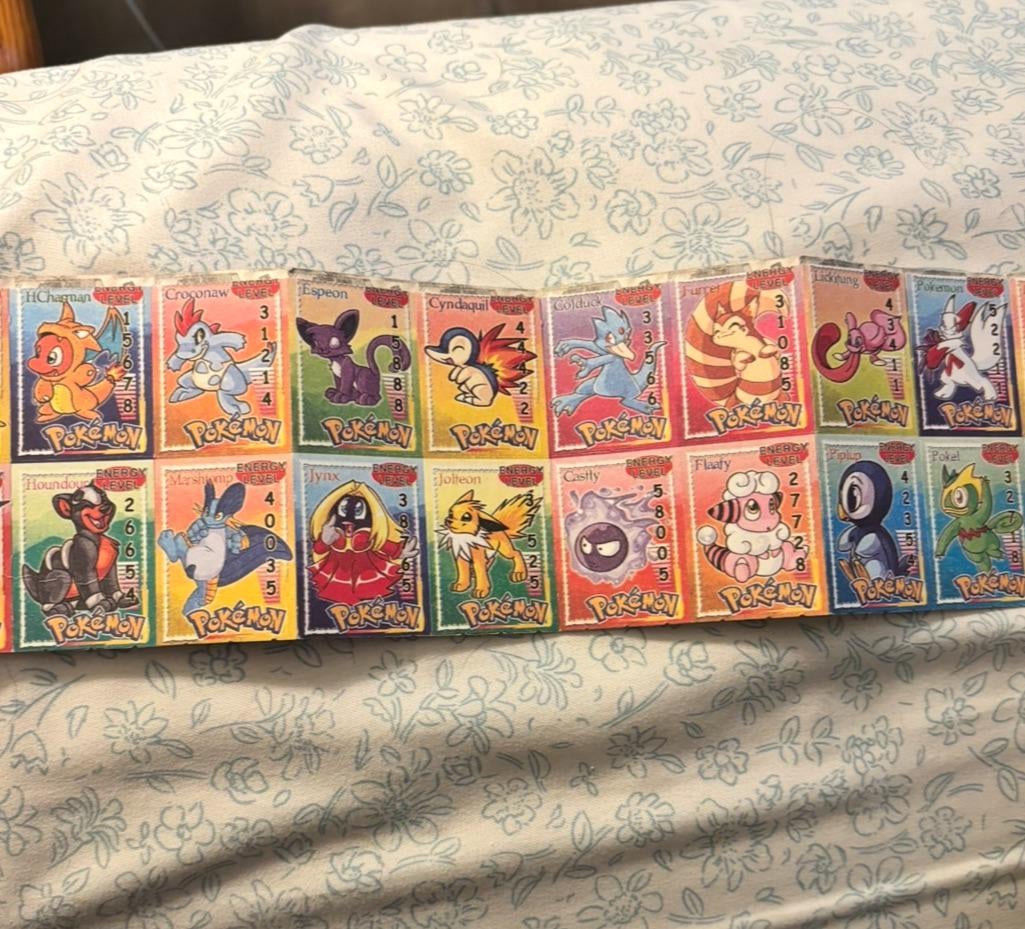 What are these