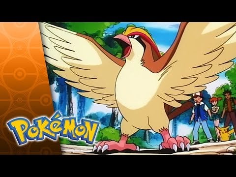 What is this sound effect called?