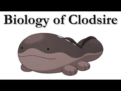 Relax and Learn: ASMR Pokémon Biology – Clodsire Edition!