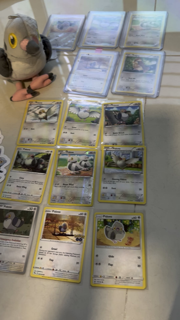 About a month ago I posted about my brother (8)’s Pidove binder. Today he received a bunch of Pidoves from you guys!