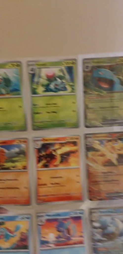 Gotta Catch 'Em All. Especially PIDGEOTTO