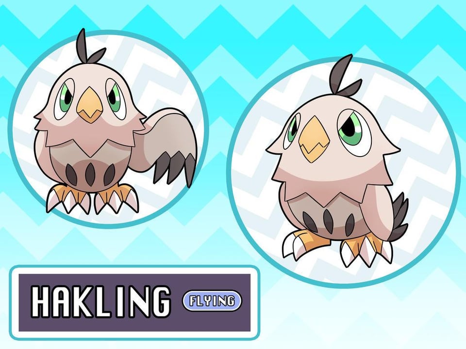 The Regional Bird