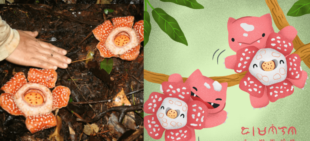 Rafflesia flowers + Bulbasaurs = Rafflesaurs?