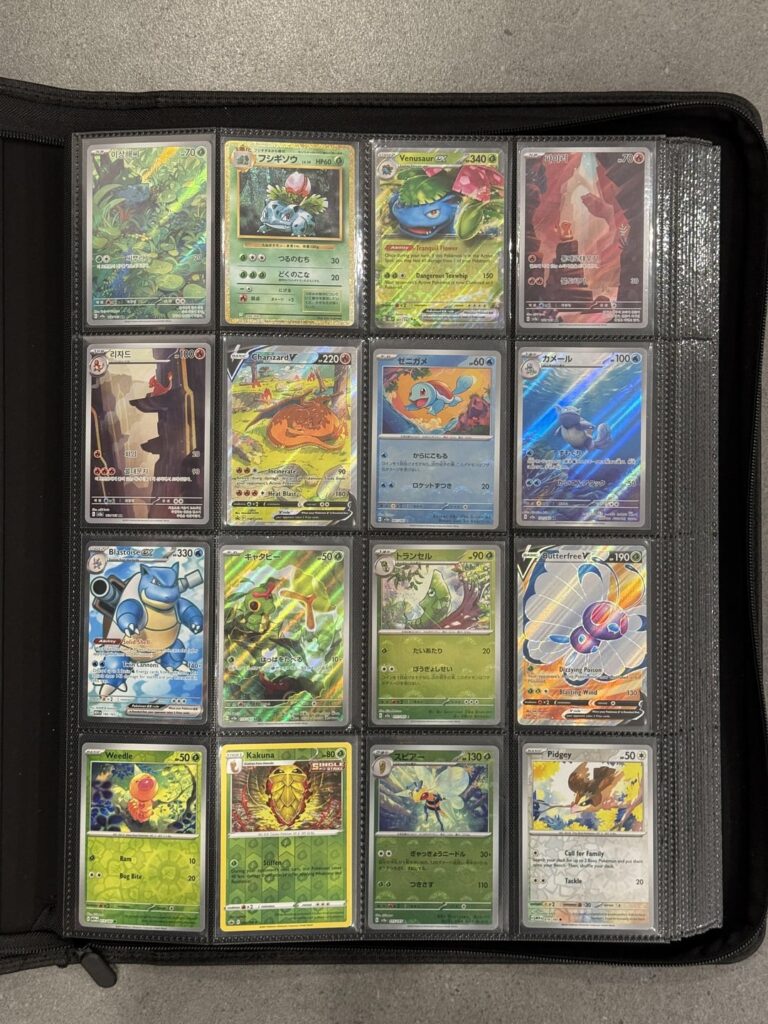 My National Dex Binder Journey