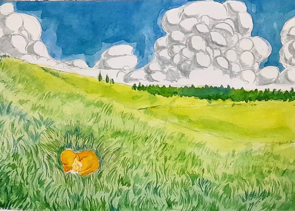 Lazy day Charmander (OC)