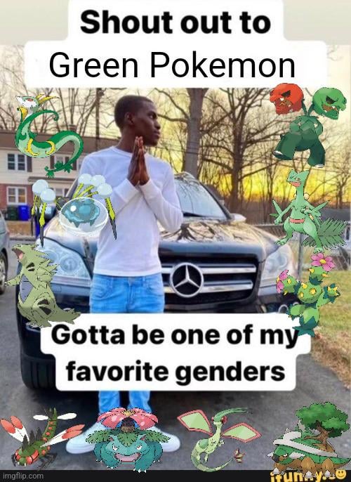 What are your guys favorite green Pokemon?