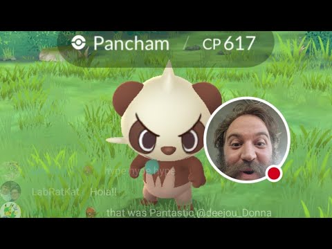 Fuzzy Buddy Research Day - Shiny Hunt - LIVE - Pokemon GO
