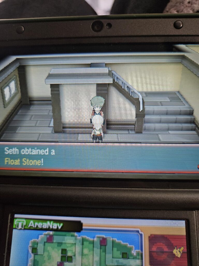 Never realized this before in ORAS