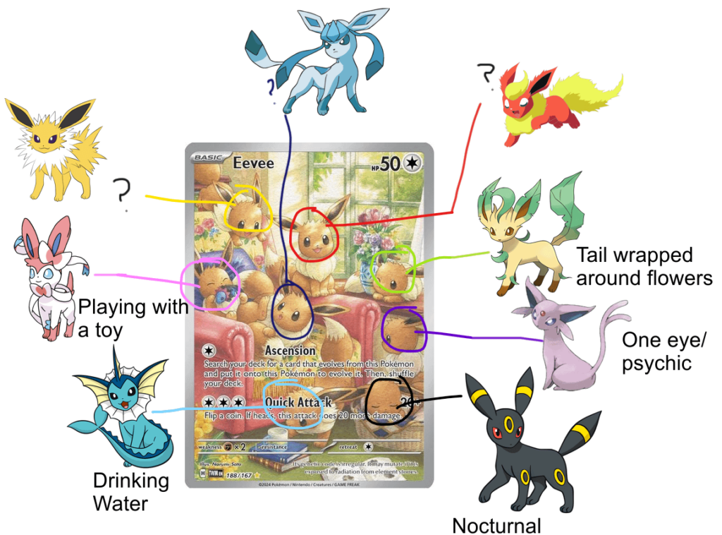 My 7YO daughter is convinced that the Eevees on this card represent the Eeveelutions - has this ever been confirmed?