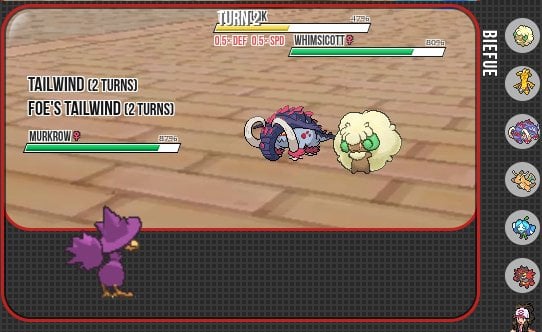 Pokemon Showdown Skin Broken