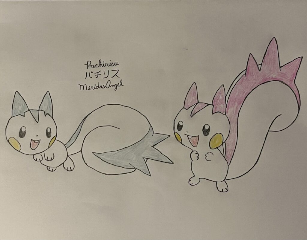 I Drew Pachirisu!
