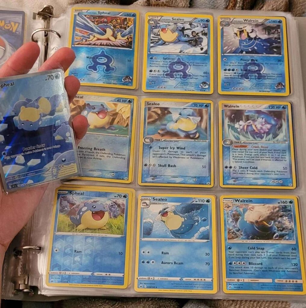 I really like Spheal, Sneasel, and Weavile a lot :) (All collected in the last year)