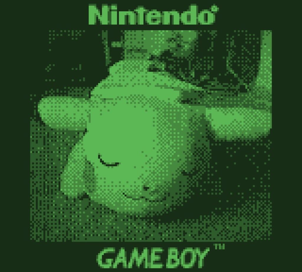Pokemon captured on Gameboy Camera
