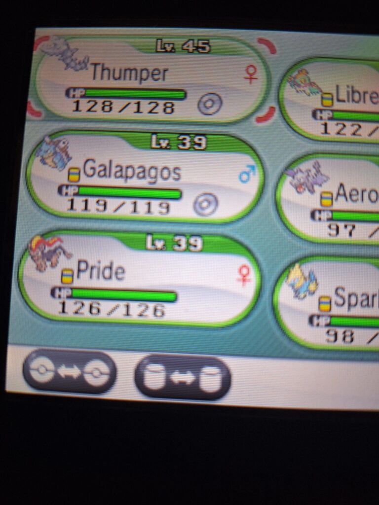 Playing through pokemon y is this team good