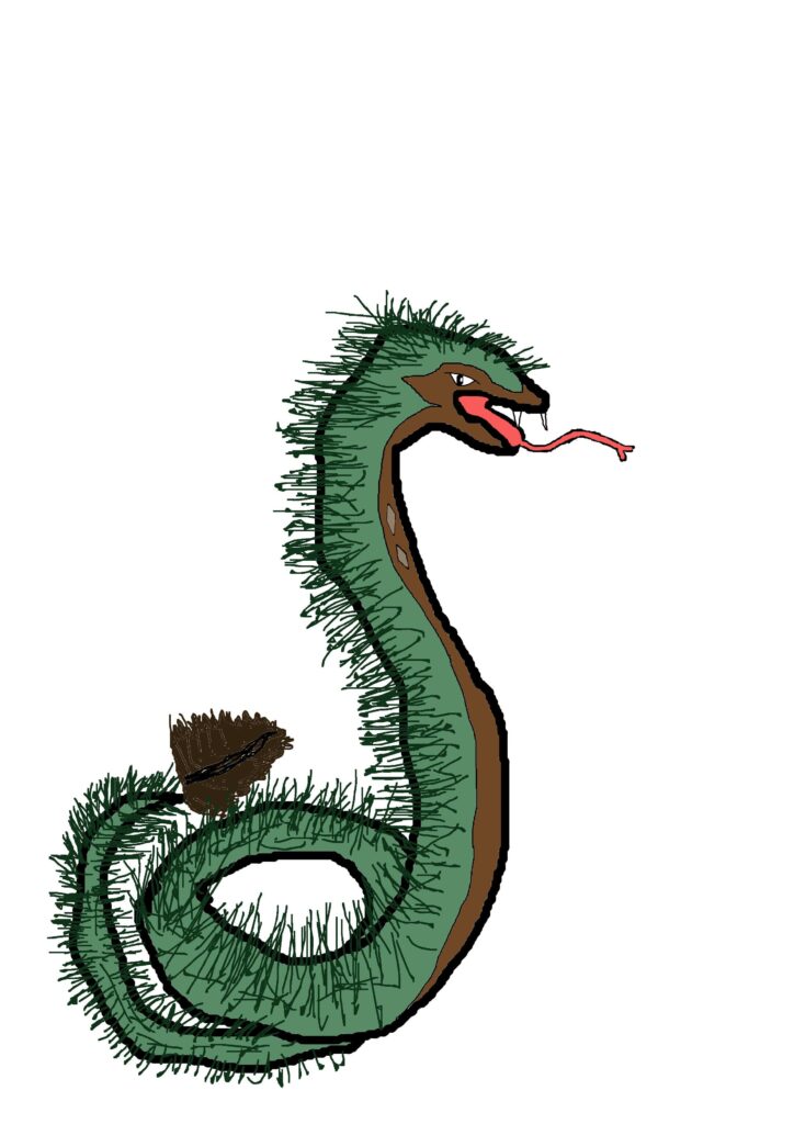 Not a great artist but here is Timbsinti‼️Based on a Timber rattlesnake and a pine tree 🌲 Sinti was a giant serpent in Choctaw Native American mythology and timb from timber