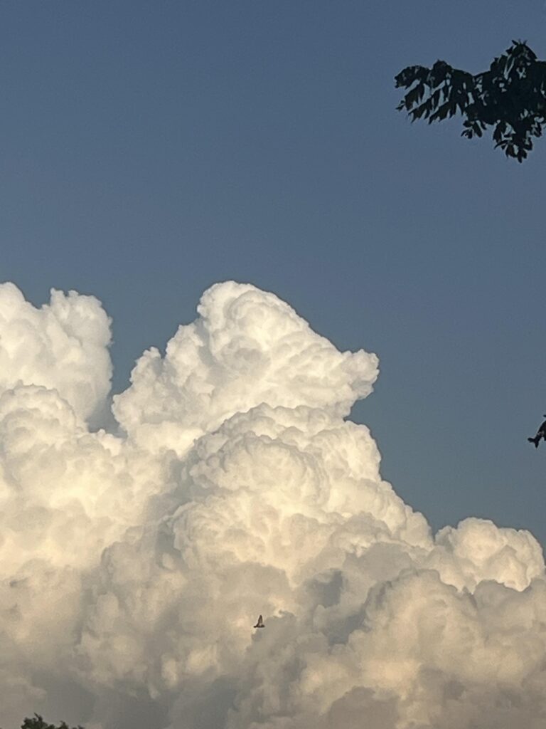 Bruxish cloud