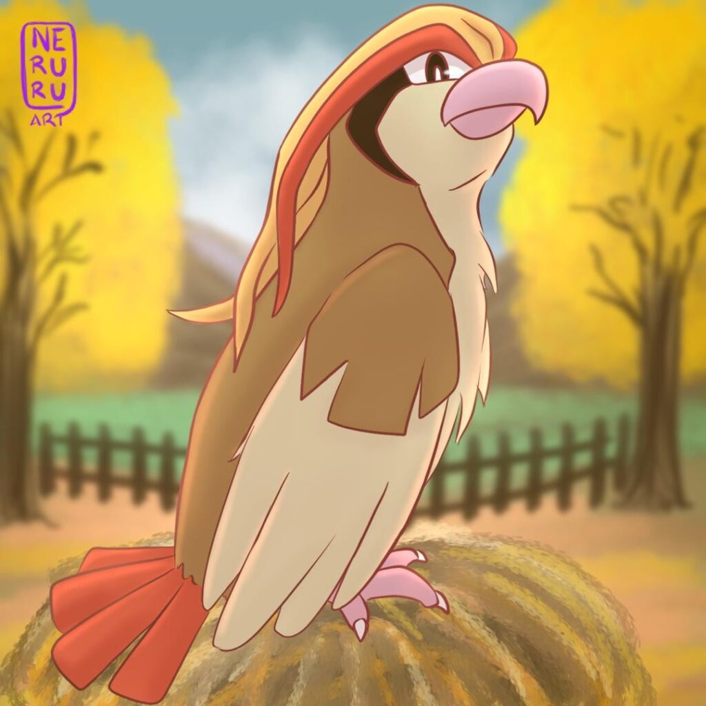 One staring Pidgeot
